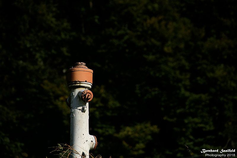 Bernhard Saalfeld - DSC08887 -1